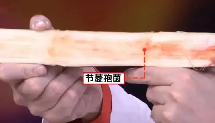 水果买大的还是买小的?(附选购指南) 水果买大的还是买小的?(附选购指南)