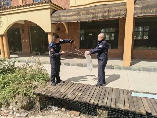 注意!近期多发,看到请保持距离 注意!近期多发,看到请保持距离