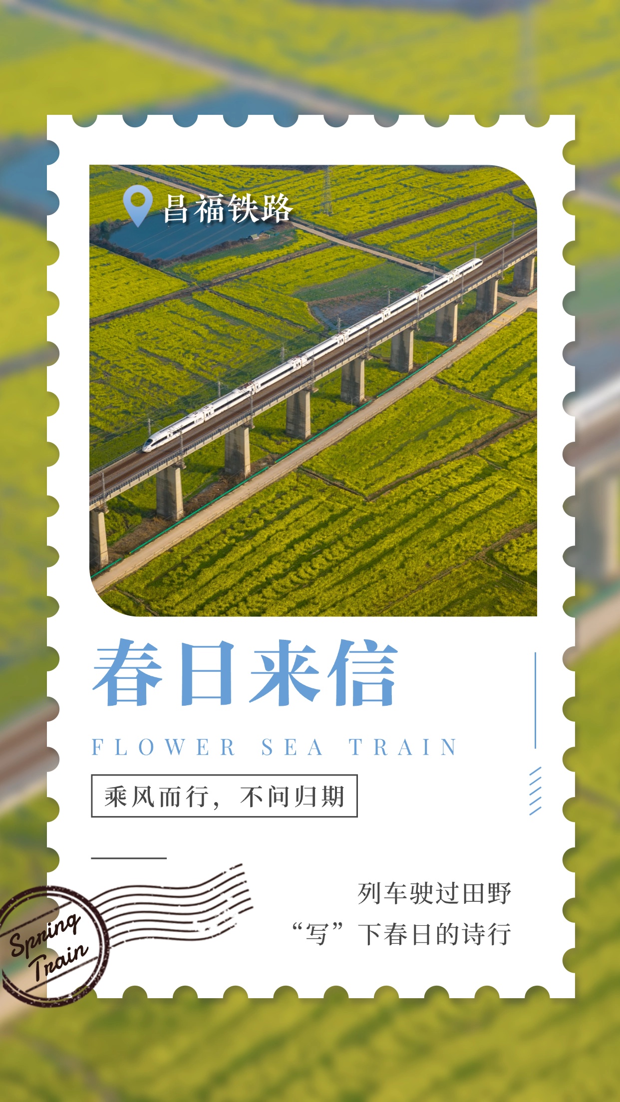 “花海列车”，出发！