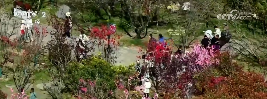 今年“超”好看！带着惠民“大礼包”去打卡 “苏超+”引爆赛事经济热潮