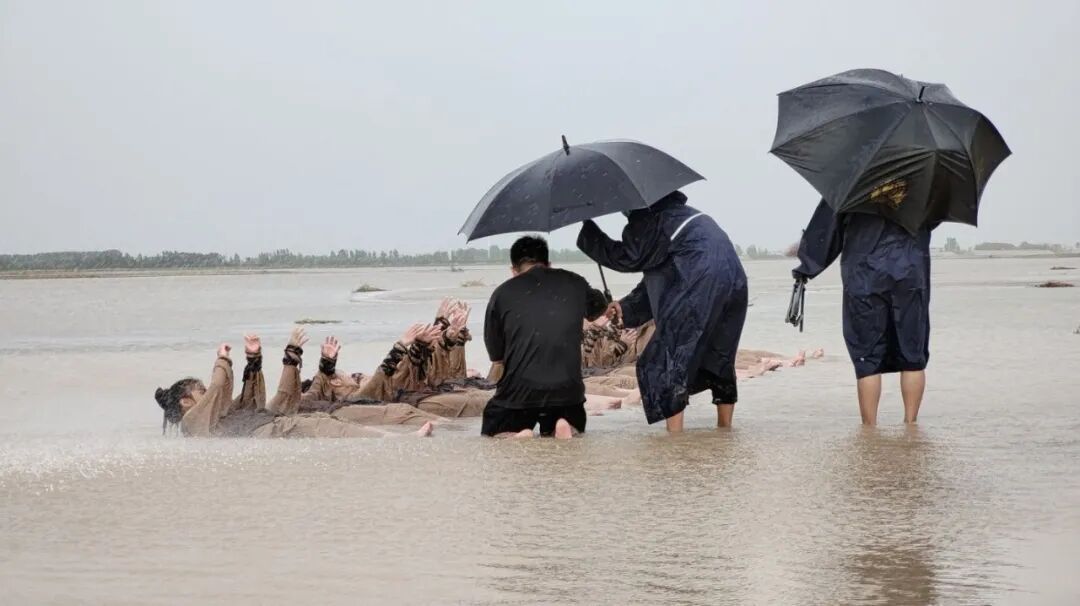 郑州版“放牛班的春天”：一群小学生用舞蹈微电影治愈全网