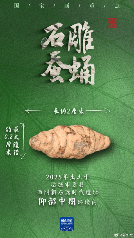多地出土,它们是5000多年前的蚕蛹艺术品吗? 多地出土,它们是5000多年前的蚕蛹艺术品吗?