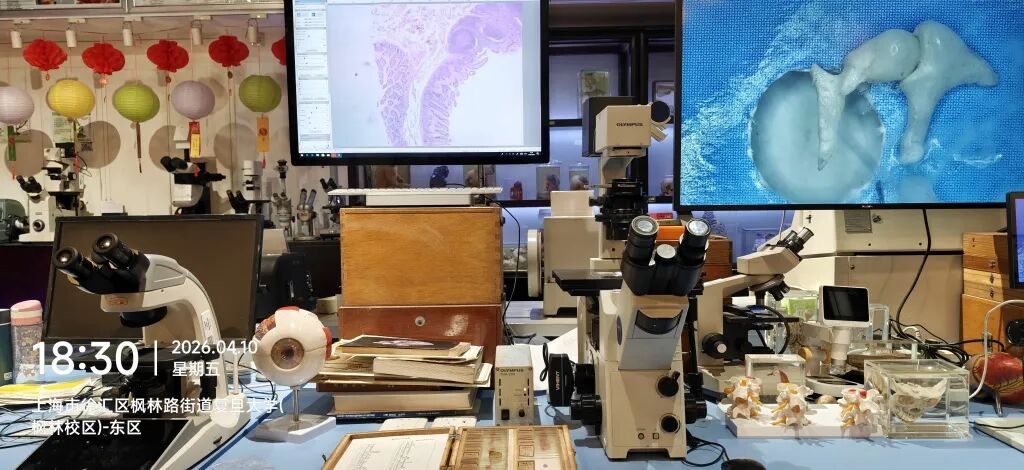 事发上海！吓哭！7岁女孩春假“闯祸”摔坏标本，结果……