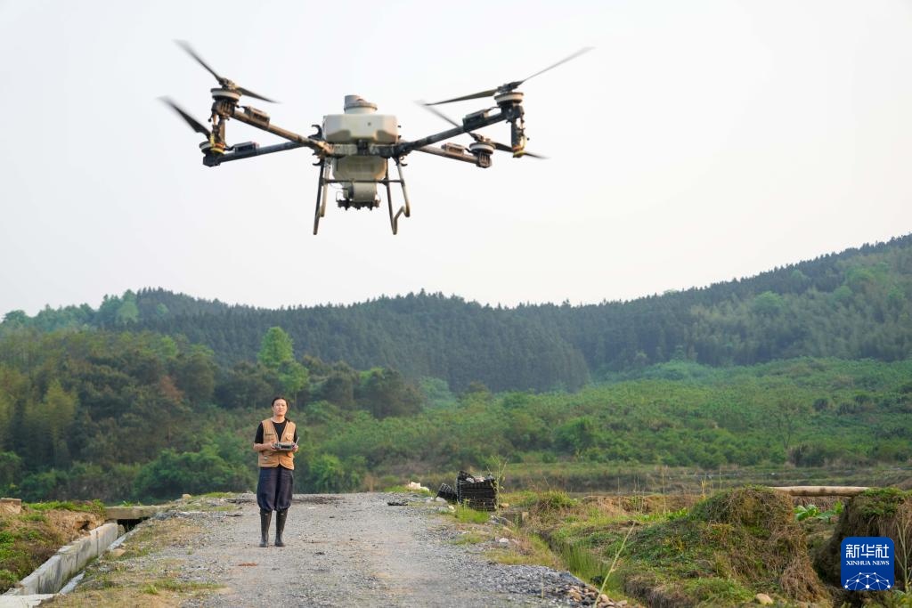“95后”新农人骆雨：用青春与智慧耕耘田野