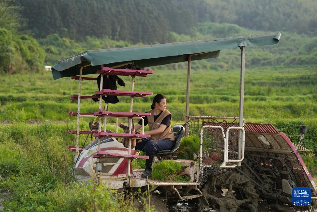 “95后”新农人骆雨：用青春与智慧耕耘田野
