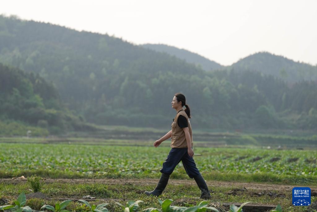 “95后”新农人骆雨：用青春与智慧耕耘田野