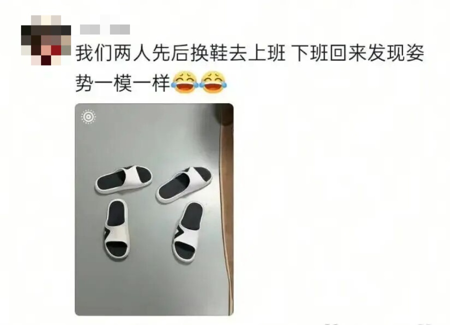 “日子怎么可能和谁过都一样！”网友：要不说你俩是一对呢