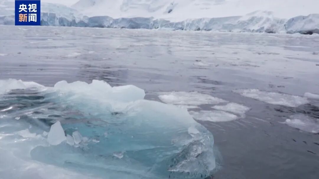 全球最大冰山A23a，没了！其面积曾接近上海市的三分之二，现已缩减至35.2平方公里
