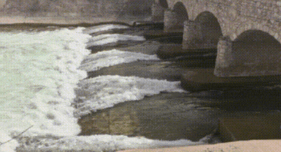 痛心!2名退伍军人1名小伙救人牺牲 痛心!2名退伍军人1名小伙救人牺牲