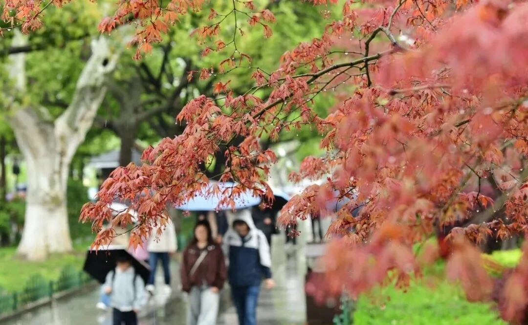 雨水继续发力！浙江这些地方将依旧雨雨雨！但有个好消息