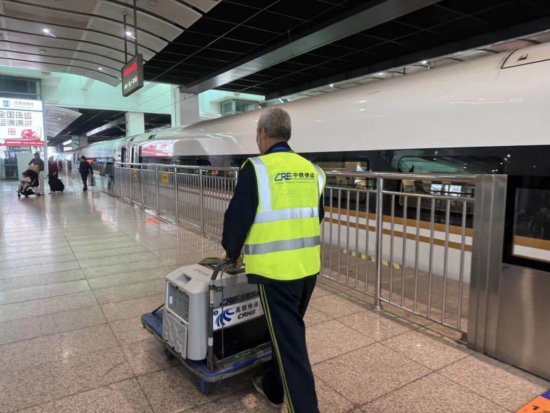 “毛孩子”可以单独出行了！高铁宠物托运服务升级