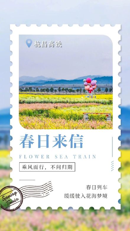收藏！花海列车来信了