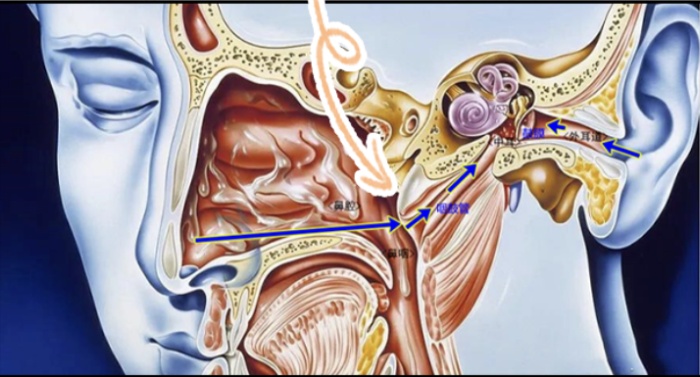 打喷嚏流鼻涕没完没了……这种药不能长期用 打喷嚏流鼻涕没完没了……这种药不能长期用