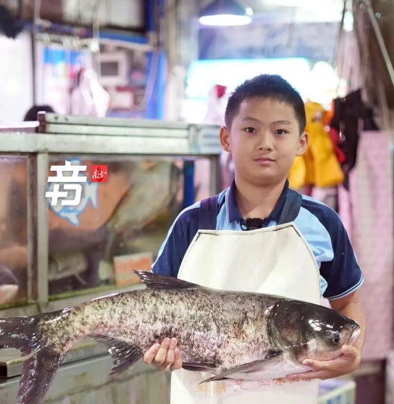 佛山鱼档少年又火了！烟火气里的成长，才是最动人的教育