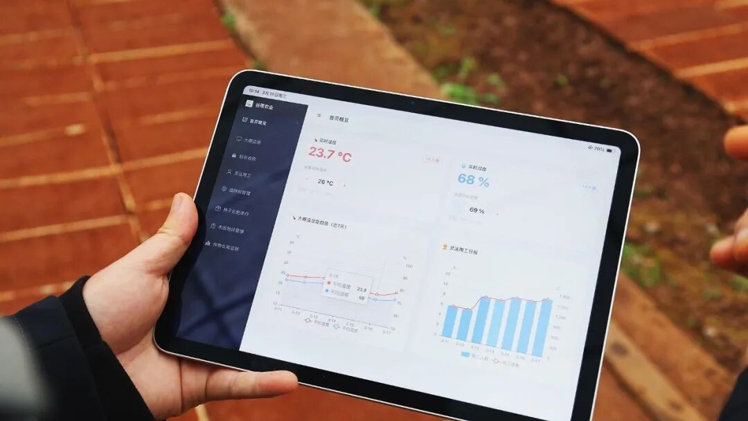 湖南一男子放弃海外百万年薪，回乡种田：用代码重新定义农耕，一年省出10万元