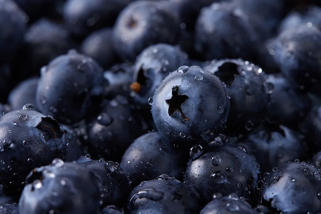 每天半斤，连吃两天后，女子胃底被硬结团块完全堵住，确诊胃石症……医生紧急提醒→