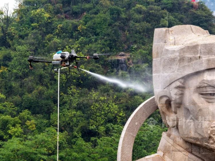柳宗元雕像右耳内惊现马蜂窝，柳州消防来了个“高空采耳”