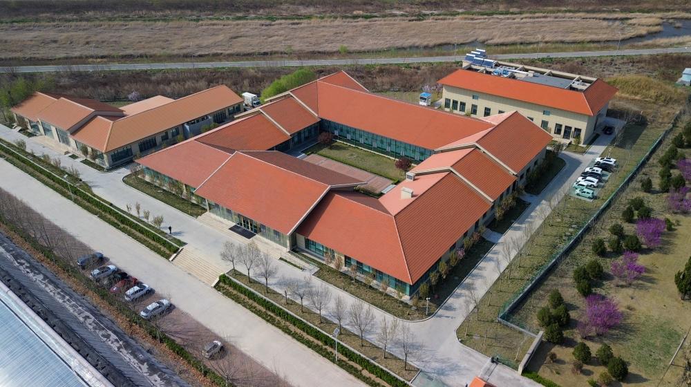 谁还没吃过寿光菜？它的 “种子家底” 太惊人