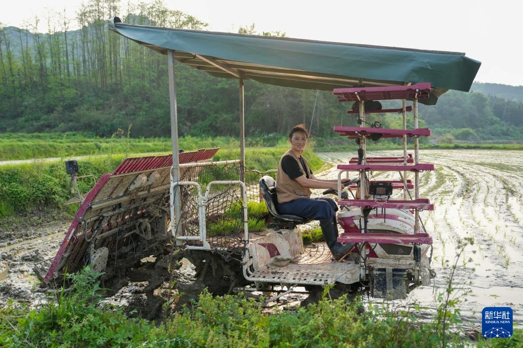 “95后”新农人骆雨：用青春与智慧耕耘田野