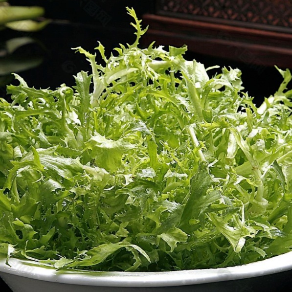 春日踏青，这些“野菜”千万别碰→