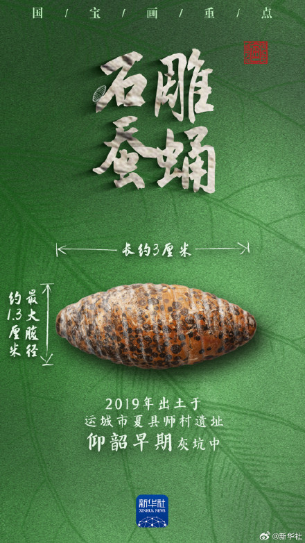 多地出土,它们是5000多年前的蚕蛹艺术品吗? 多地出土,它们是5000多年前的蚕蛹艺术品吗?