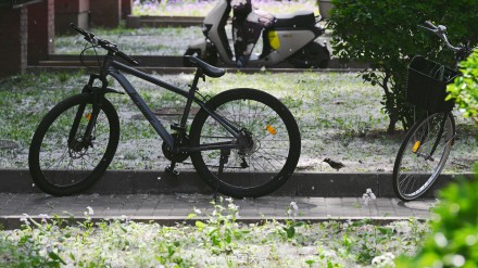 被杨柳絮支配的一天 被杨柳絮支配的一天