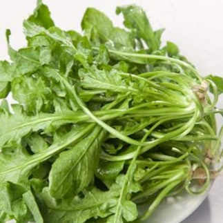 春日踏青，这些“野菜”千万别碰→