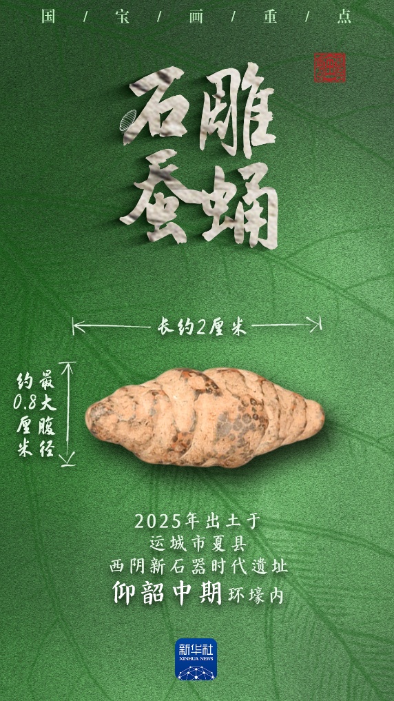 多地出土,它们是5000多年前的蚕蛹艺术品吗? 多地出土,它们是5000多年前的蚕蛹艺术品吗?