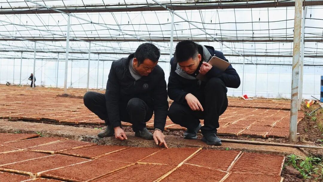 湖南一男子放弃海外百万年薪，回乡种田：用代码重新定义农耕，一年省出10万元