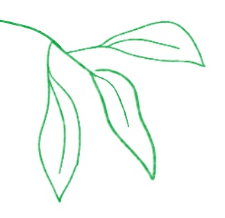 你的“五险一金”要升级成“六险一金”了