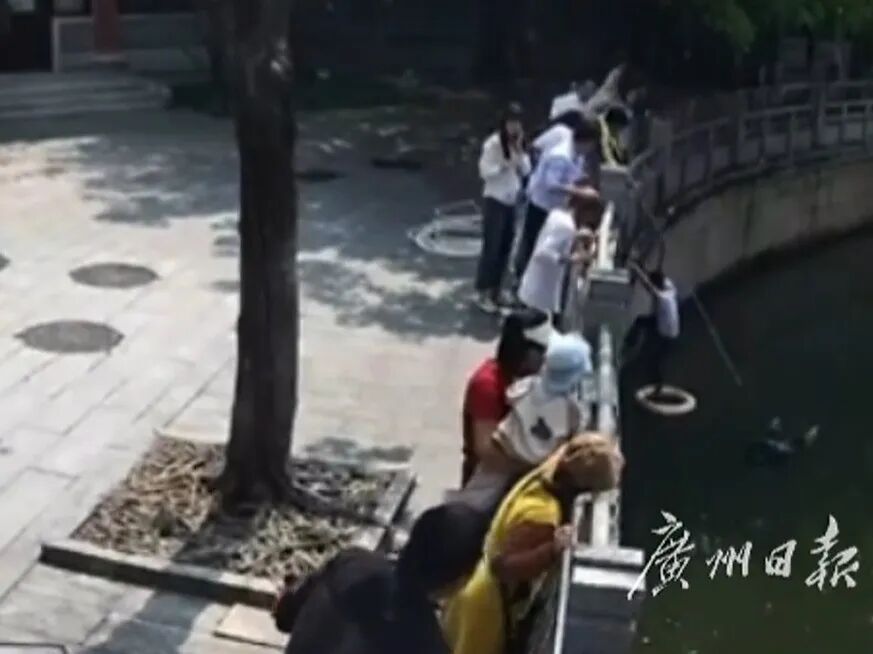 外套一脱直接跳，广州75岁阿伯勇救落水女子，“救人只是本能”