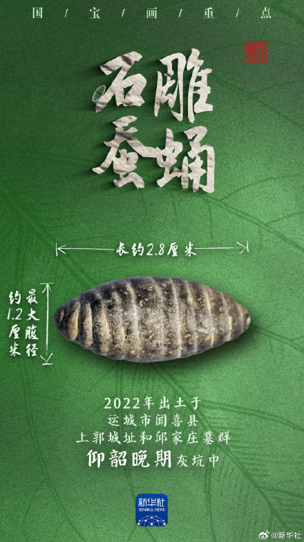 多地出土,它们是5000多年前的蚕蛹艺术品吗? 多地出土,它们是5000多年前的蚕蛹艺术品吗?