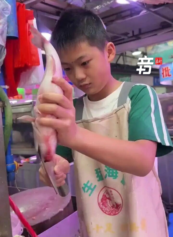 佛山鱼档少年又火了！烟火气里的成长，才是最动人的教育
