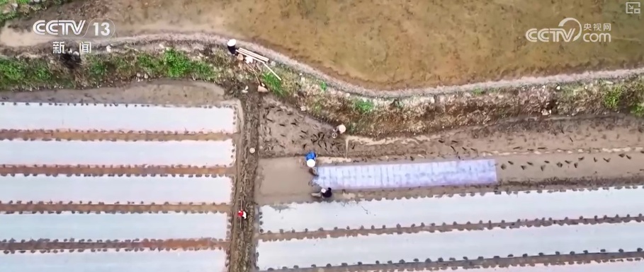 沃野春耕忙“田保姆”上岗 “科技春耕图”在广袤田野铺展开