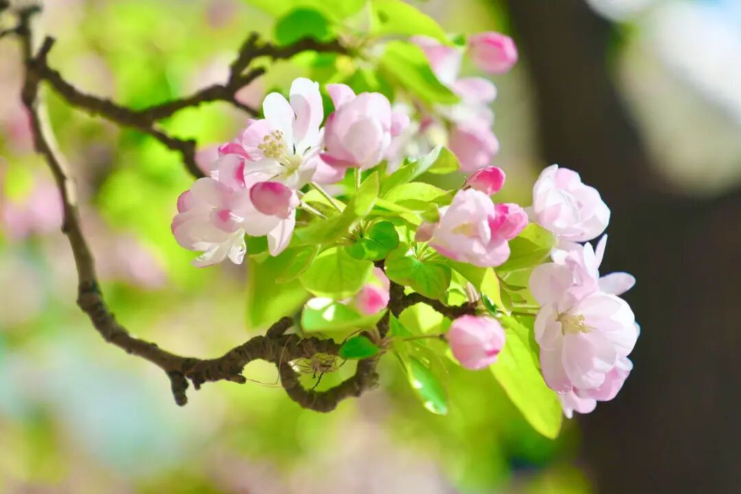 天津小孩的“简单哲学”，火了