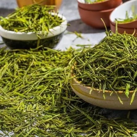 春日踏青，这些“野菜”千万别碰→