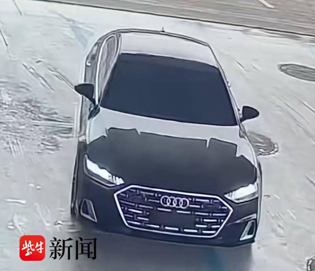 又见无牌小轿车加油逃单 警方：已查获，驾驶员被依法行政拘留