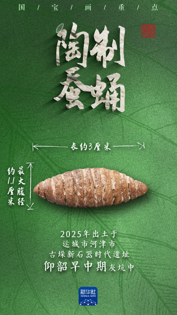 多地出土,它们是5000多年前的蚕蛹艺术品吗? 多地出土,它们是5000多年前的蚕蛹艺术品吗?