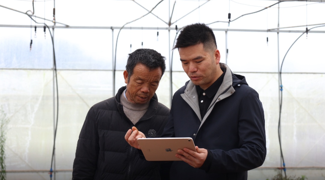 湖南一男子放弃海外百万年薪，回乡种田：用代码重新定义农耕，一年省出10万元