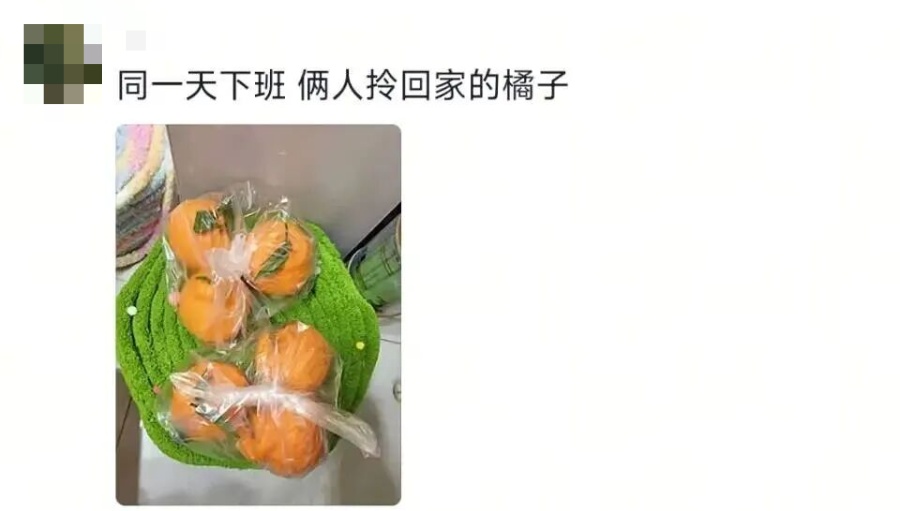 “日子怎么可能和谁过都一样！”网友：要不说你俩是一对呢