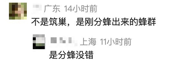 停车未关车窗10分钟，男子回来时傻眼：车内闯入一群蜜蜂，正在筑巢