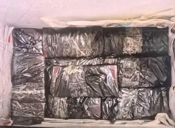 土豆箱里藏8.4万现金！这不是脑洞大开的剧情