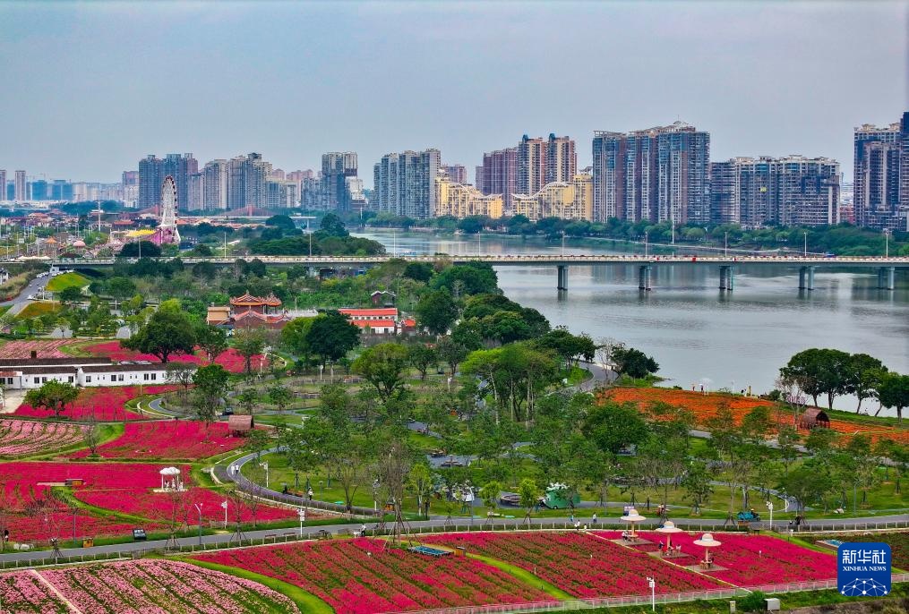 福建漳州:岸线焕新 城市更新 福建漳州:岸线焕新 城市更新