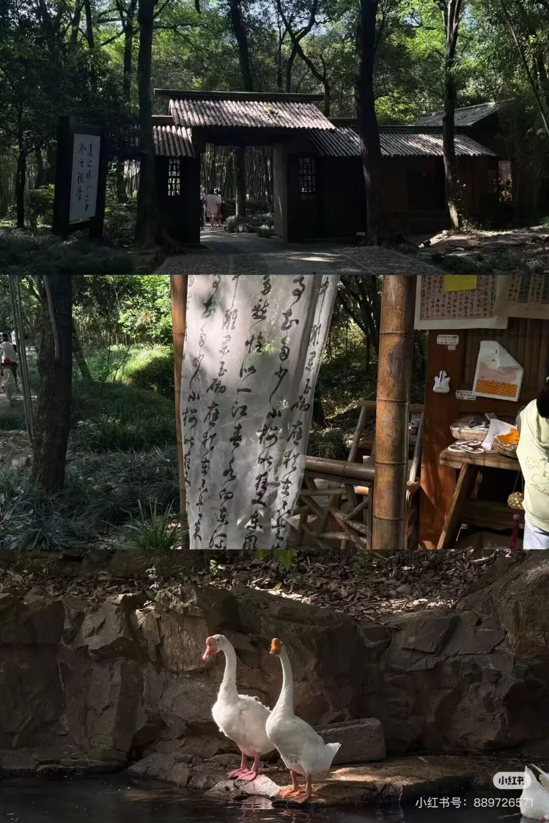 浙江一景区突然火了，搜索指数暴涨！网友：终于有人发现了