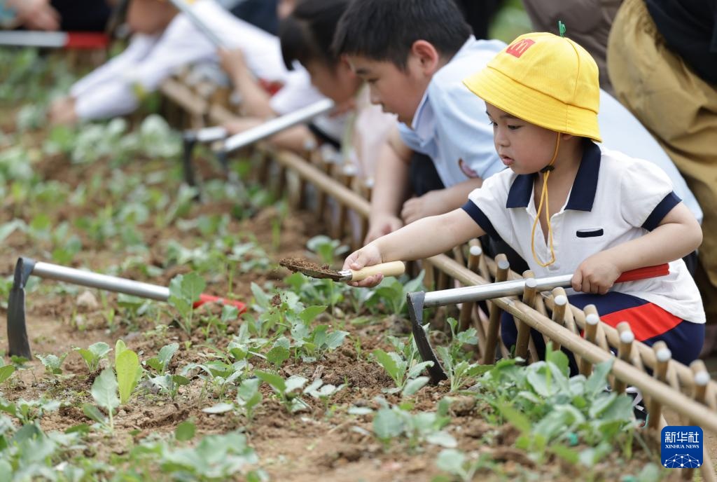 福建漳州:岸线焕新 城市更新 福建漳州:岸线焕新 城市更新