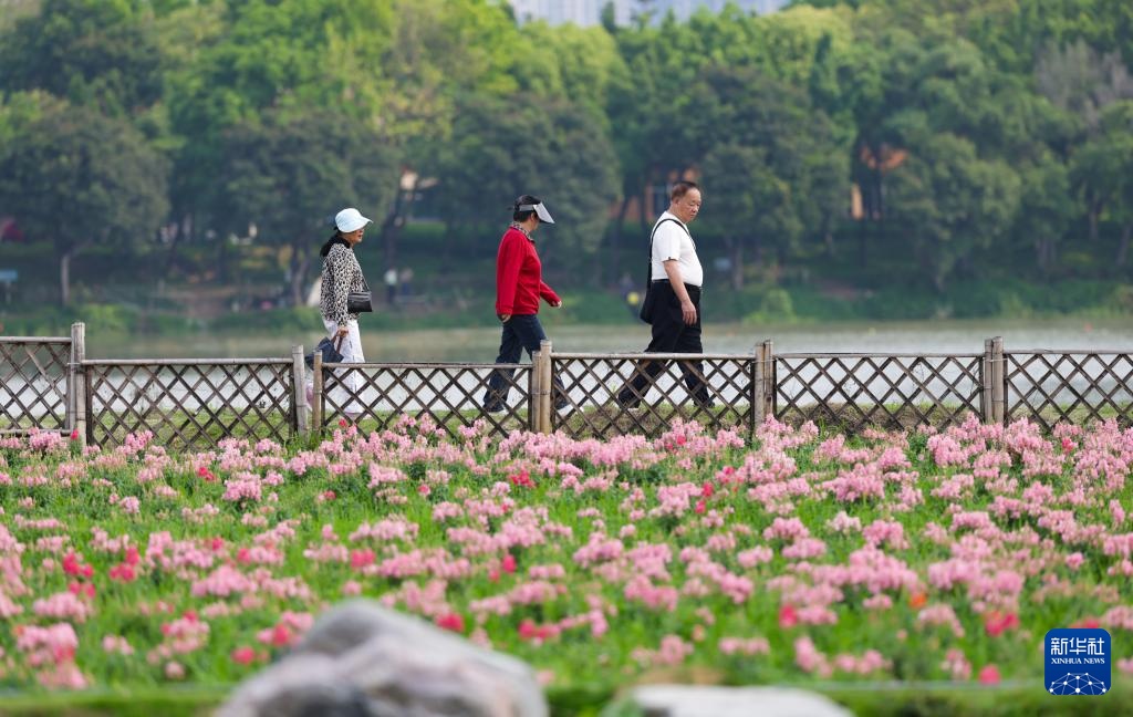 福建漳州:岸线焕新 城市更新 福建漳州:岸线焕新 城市更新