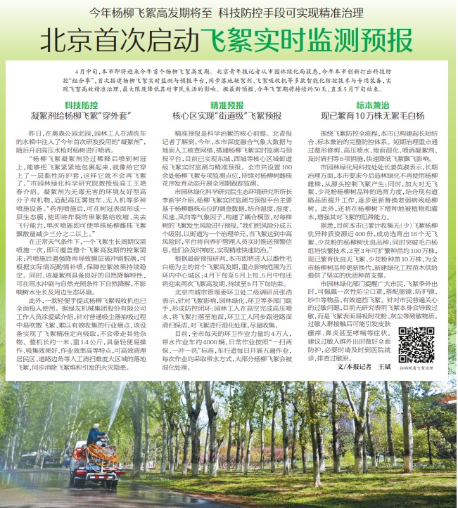 飞絮来了，北京首次启动实时监测预报