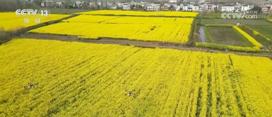 金融“活水”灌溉春耕生产 强粮保供为粮食丰产下好“先手棋”