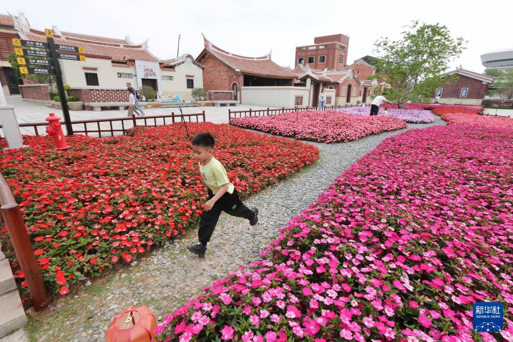 福建漳州:岸线焕新 城市更新 福建漳州:岸线焕新 城市更新