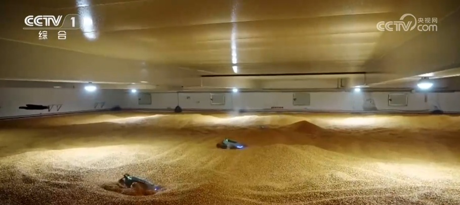 “飞檐走壁”“大力士平仓”……智能工业机器人在高危工作场景大显身手